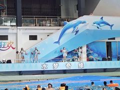 -温都水城·水梦奇缘