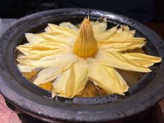出水芙蓉-映水芙蓉(长宁来福士店)