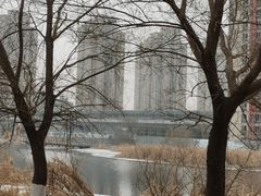 -长白岛森林公园