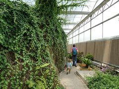 景点-观光南瓜园