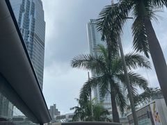 -Big Bus Tours 敞篷观光巴士