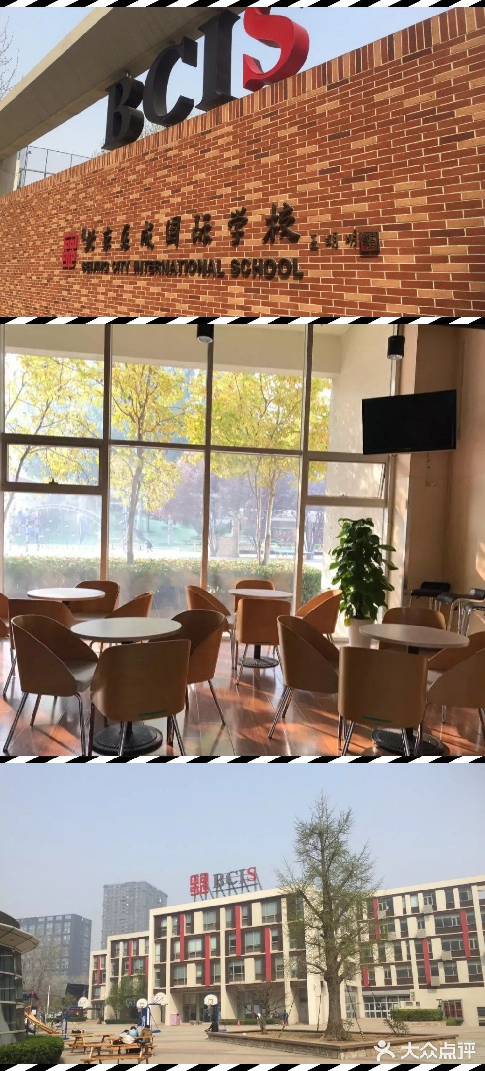 乐成国际学校，让家长乐见其成ヽ(✿￫∀￩)ﾉ