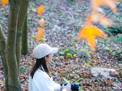 -田野绿世界