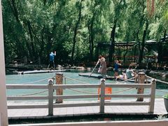 -大鹅岛绿色生态美食园