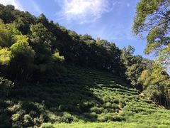 -杭州西湖风景名胜区-三生石