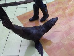 -昆明动物园