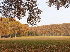 -河南省黄河迎宾馆