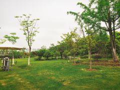 -尚贤河湿地