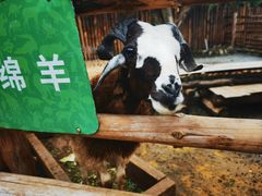 -泉州海丝野生动物世界