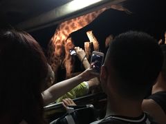 -清迈夜间动物园