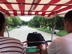 -上海海湾国家森林公园