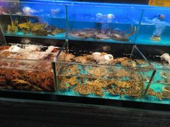 -苏格里岛自助烤肉海鲜火锅(成都金牛万达店)
