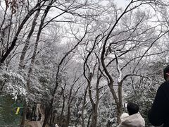 -灵顺寺