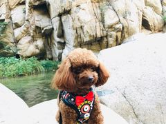 -碓臼峪自然风景区