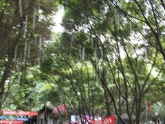 -巴山一绝烤全羊(三圣乡刘家花园店)