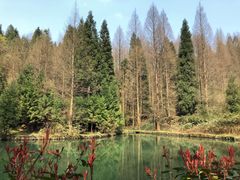 -山王坪喀斯特国家生态公园