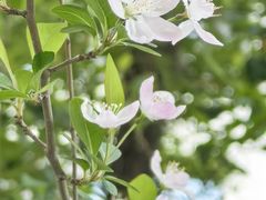 -龙湖冠寓(上海闵行星悦荟店)