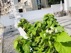 -青梅酒肆PLUS(长白仙岛北路店)