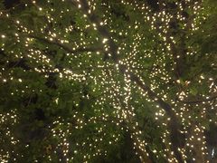 -渔太泰漓江小馆·广西融合菜(西街店)