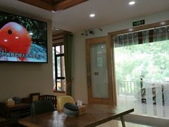 -将军关探险漂流