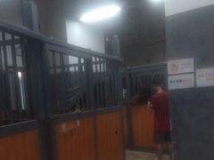 -骑乐马术(广州奥体优托邦中心)
