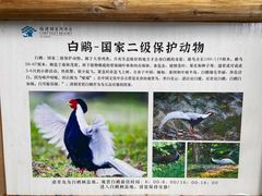 -福建鲤鱼洲酒店