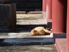 -四门塔风景区