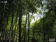 -藏龙百瀑风景区