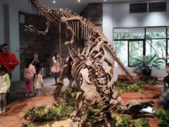 -自贡恐龙博物馆