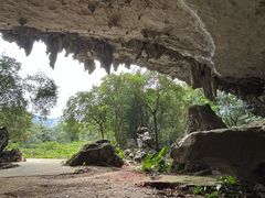 -食德喜·阳山鸡王食研基地