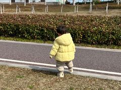 -九龙湖公园