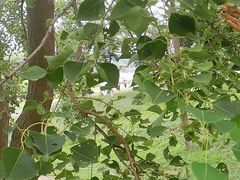 -钟山体育运动公园