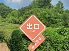 -大屏嶂森林公园