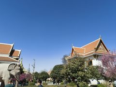 -洛阳白马寺