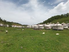 -关山草原