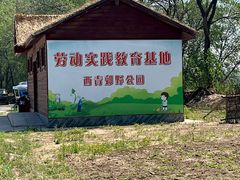 -西青郊野公园