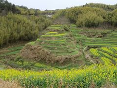 -灵山景区梯田