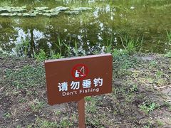 -上海滨江森林公园