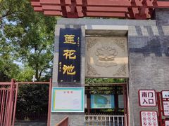 -莲花池公园