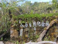 -普洱太阳河森林公园