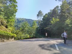 -火炉山森林公园
