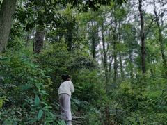 -青龙山国家森林公园