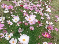 -东天目山风景区