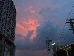 -小杨生煎(白玉兰广场店)