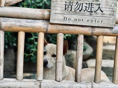 -龙华寺