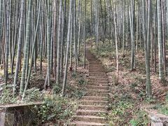 -午潮山国家森林公园