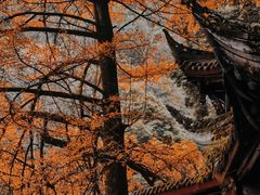 -青城山