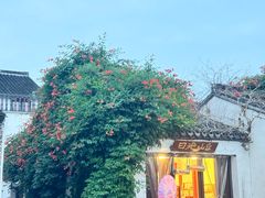 -青果巷历史文化街区