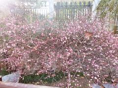-范蠡湖公园