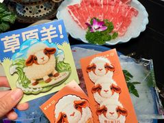 -额尔敦传统涮(公园西路店)
